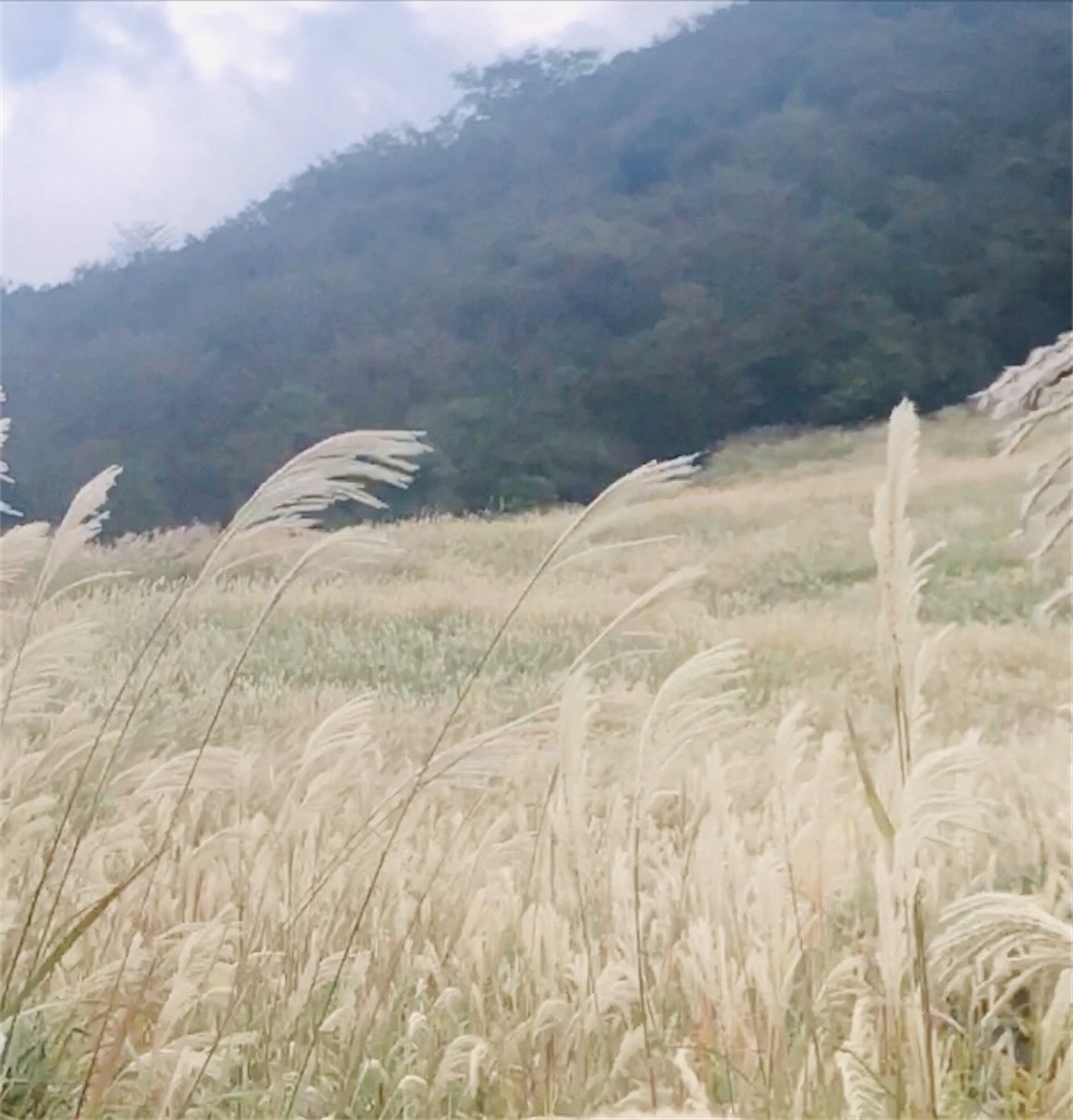 f:id:miwatime0426:20231023232437j:image