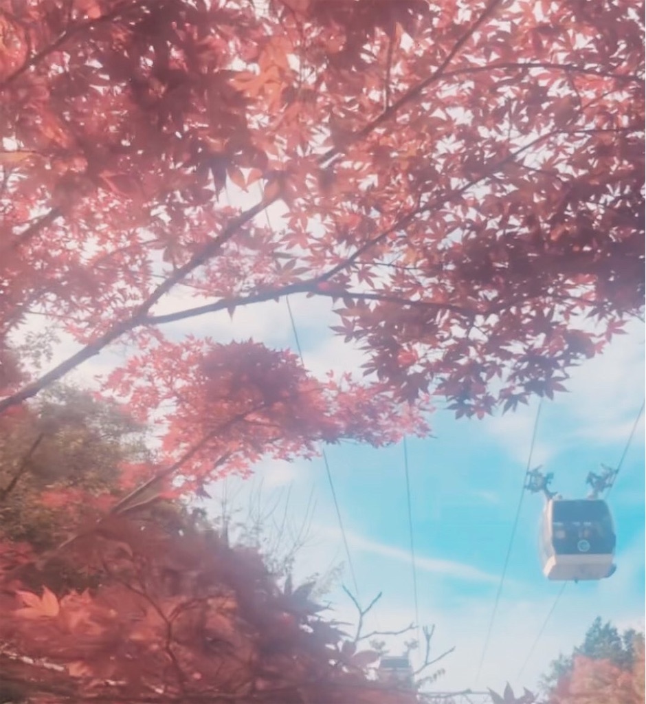 f:id:miwatime0426:20231114134350j:image