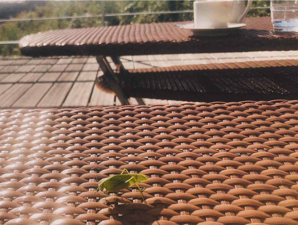 f:id:miwatime0426:20231208221617j:image
