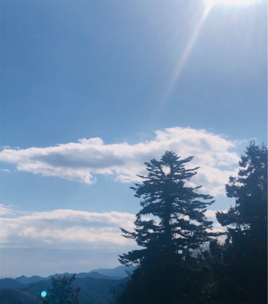f:id:miwatime0426:20240211134502j:image