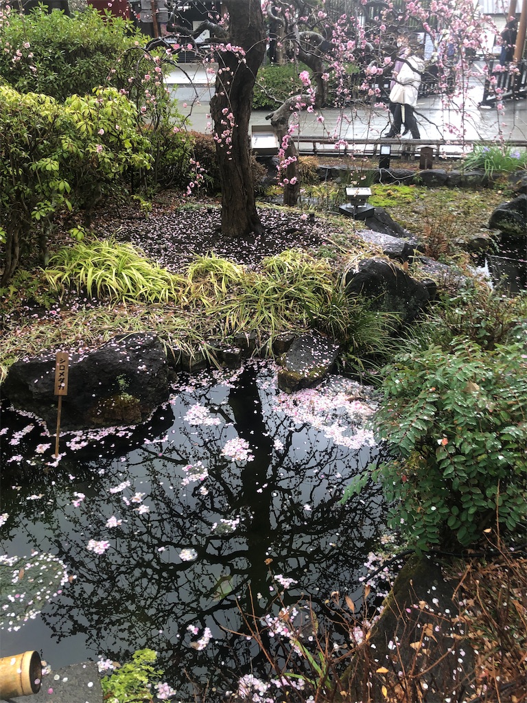 f:id:miwatime0426:20240219150921j:image f:id:miwatime0426:20240219150921j:image