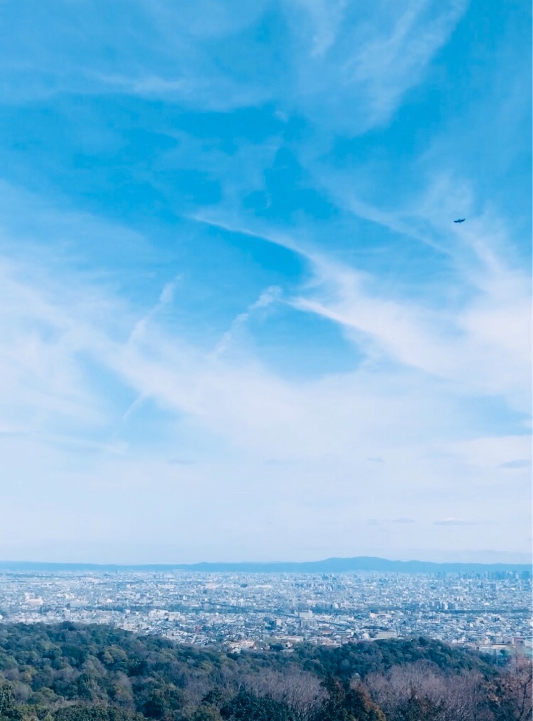 f:id:miwatime0426:20240225183258j:image