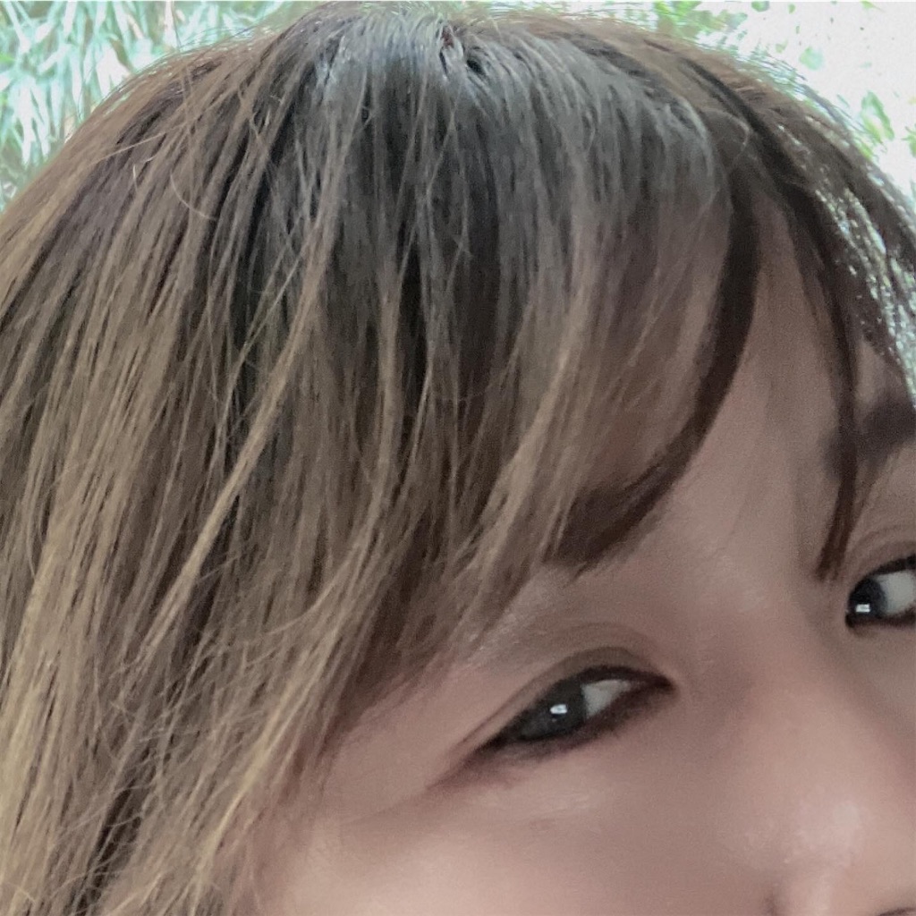 f:id:miwatime0426:20240924114103j:image