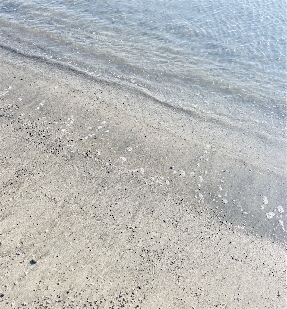 f:id:miwatime0426:20250127195221j:image