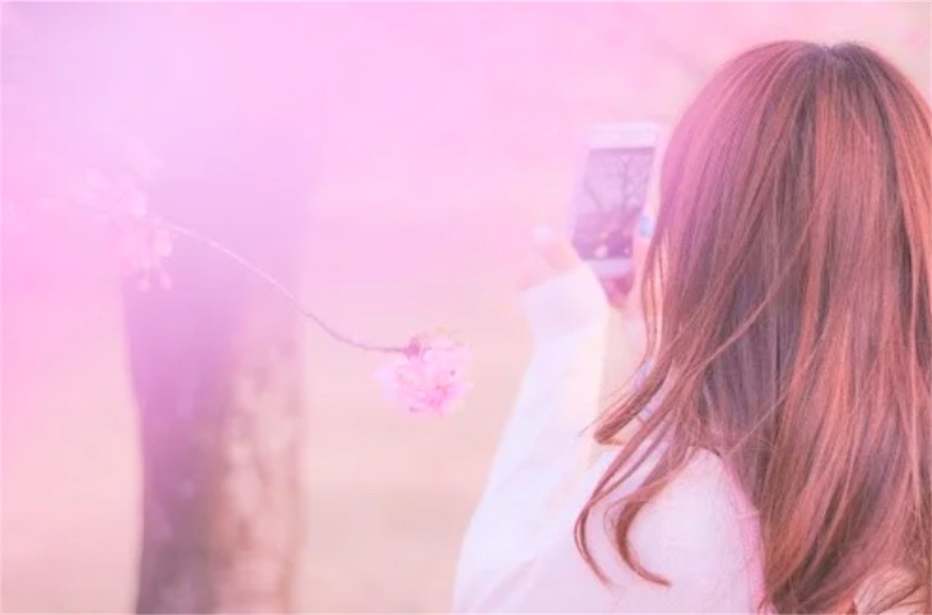 f:id:miwatime0426:20250204094234j:image