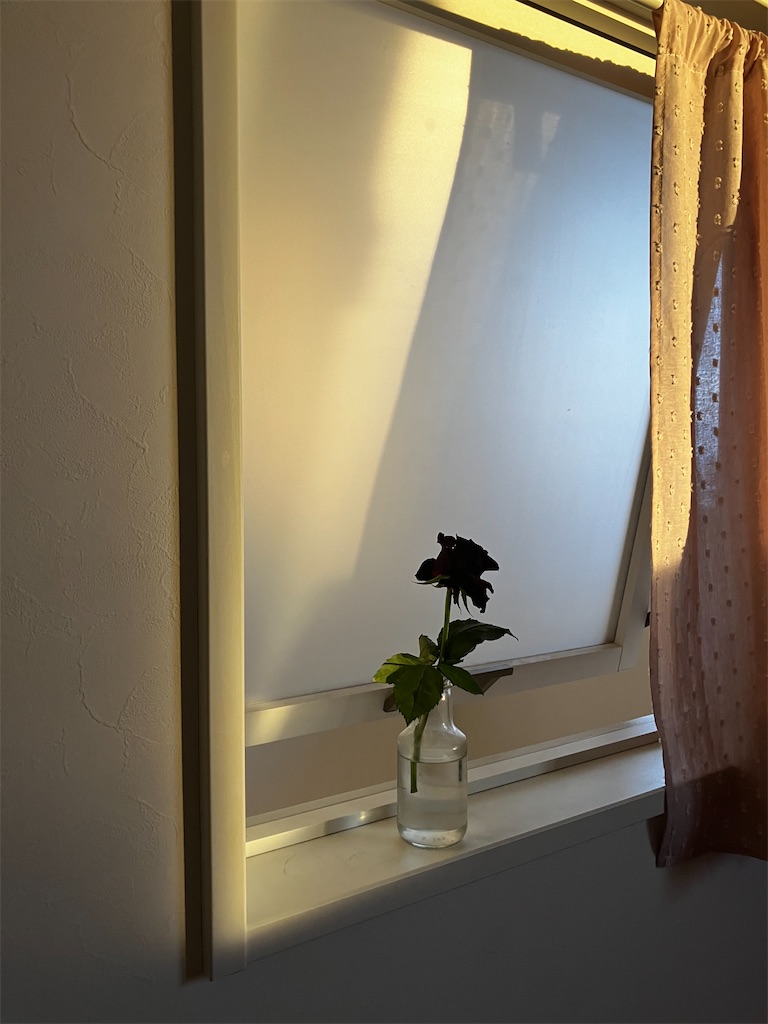 f:id:miwatime0426:20250307133921j:image