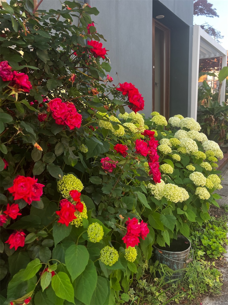f:id:miwatime0426:20250702141926j:image