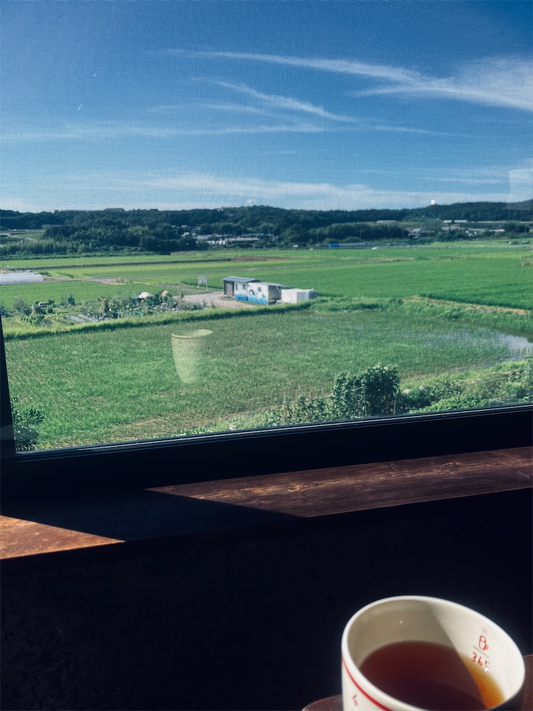 f:id:miwatime0426:20250727210923j:image f:id:miwatime0426:20250727210923j:image