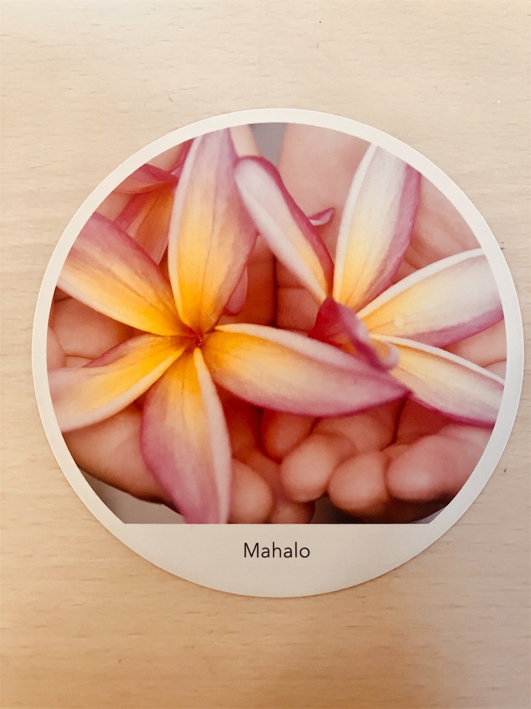 f:id:miwatime0426:20260404171654j:image f:id:miwatime0426:20260404171654j:image