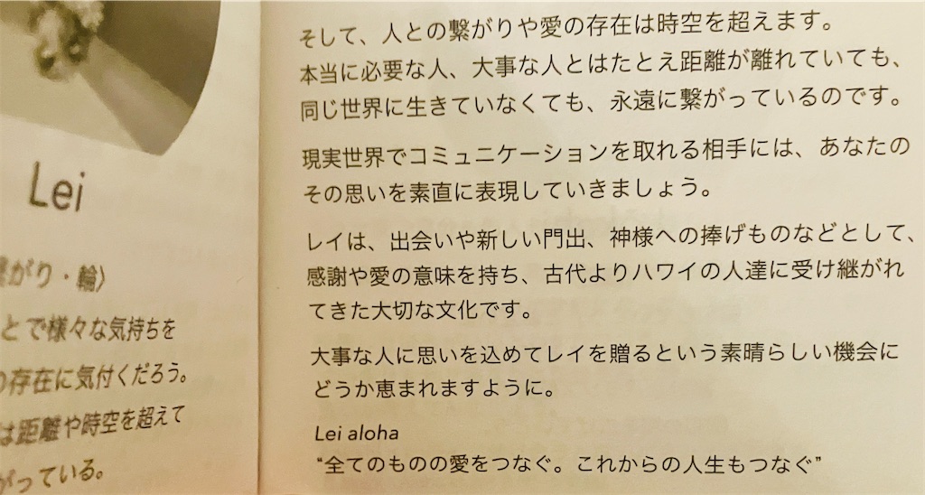 f:id:miwatime0426:20260404173225j:image f:id:miwatime0426:20260404173225j:image