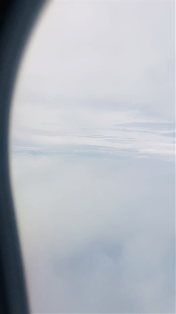 f:id:miwatime0426:20260514102828p:image