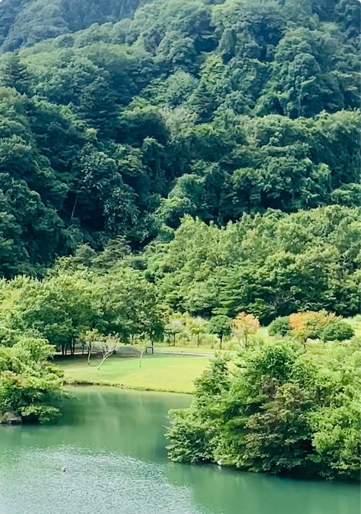 f:id:miwatime0426:20260819114720j:image