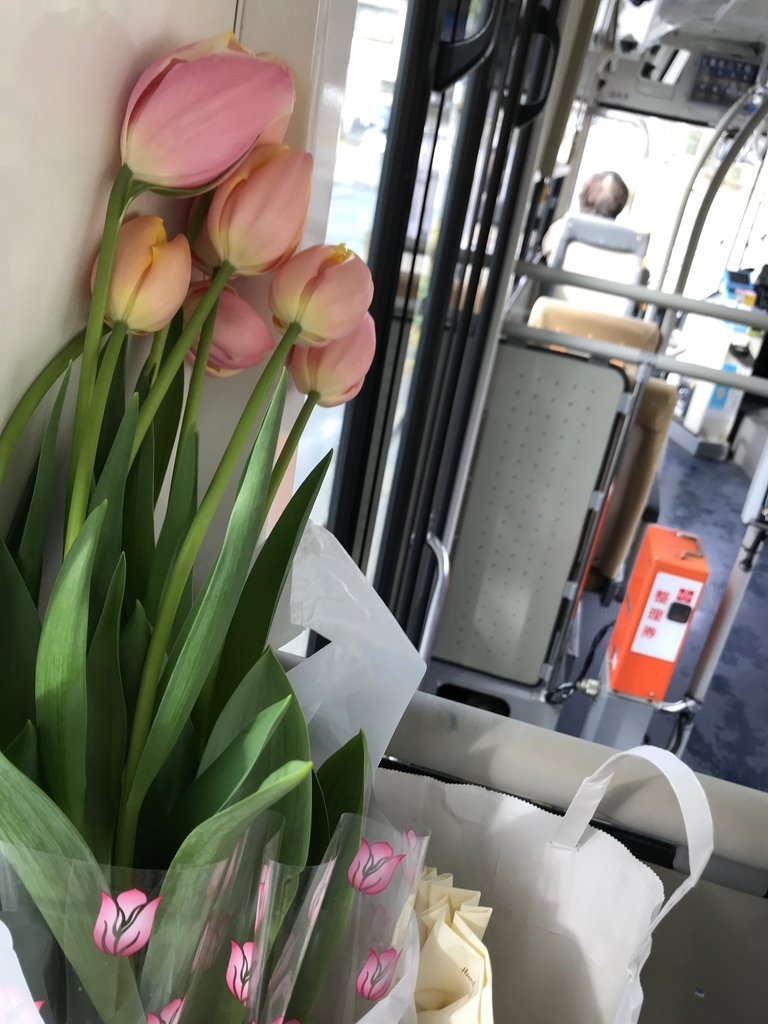 f:id:miww55:20190206234842j:plain