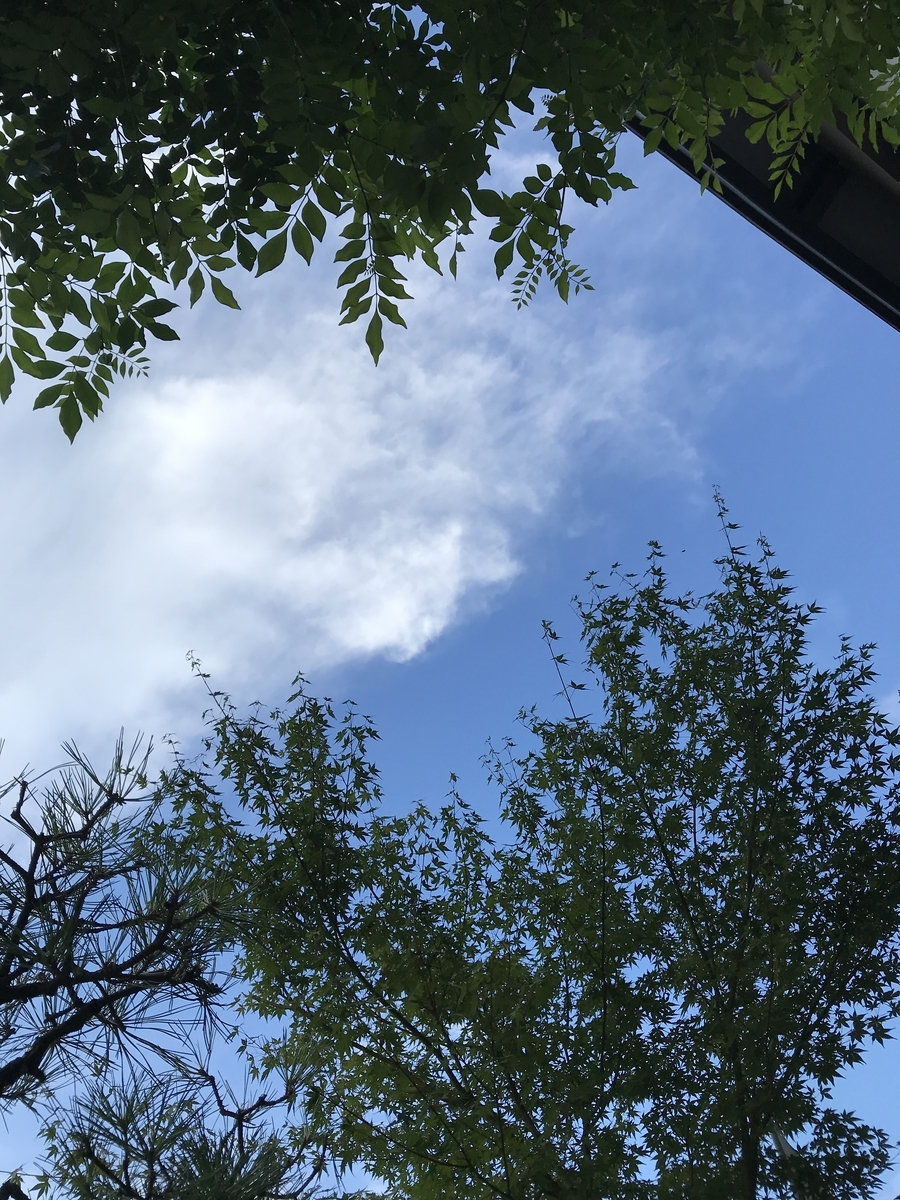 f:id:miww55:20190902171111j:plain f:id:miww55:20190902171111j:plain