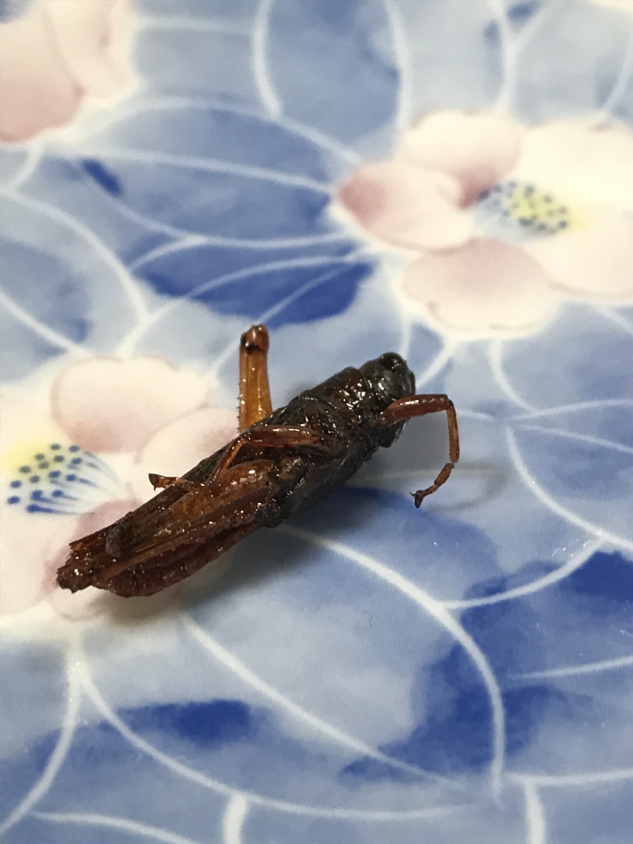 f:id:miww55:20191120215135j:plain f:id:miww55:20191120215135j:plain