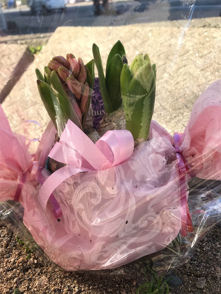 f:id:miww55:20210203225440j:image