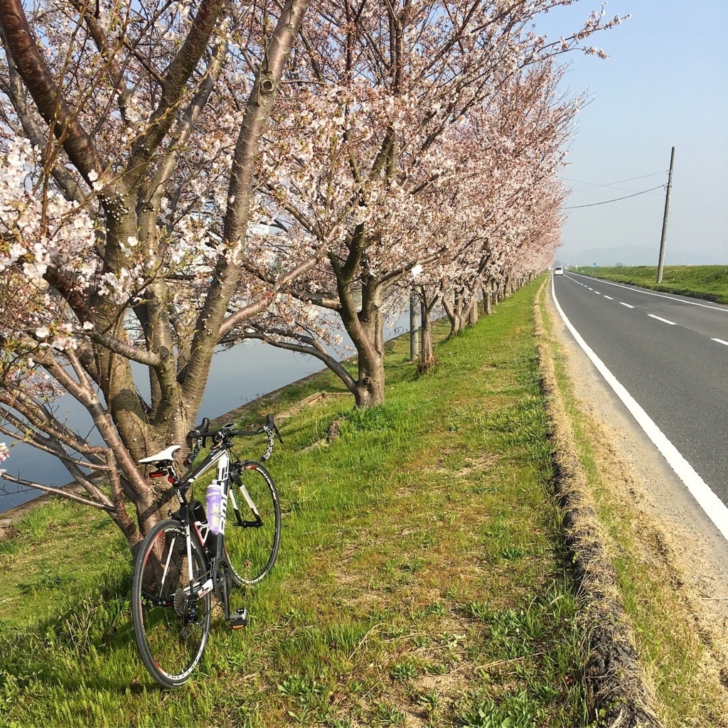 f:id:mix-juice:20180329095436j:plain f:id:mix-juice:20180329095436j:plain