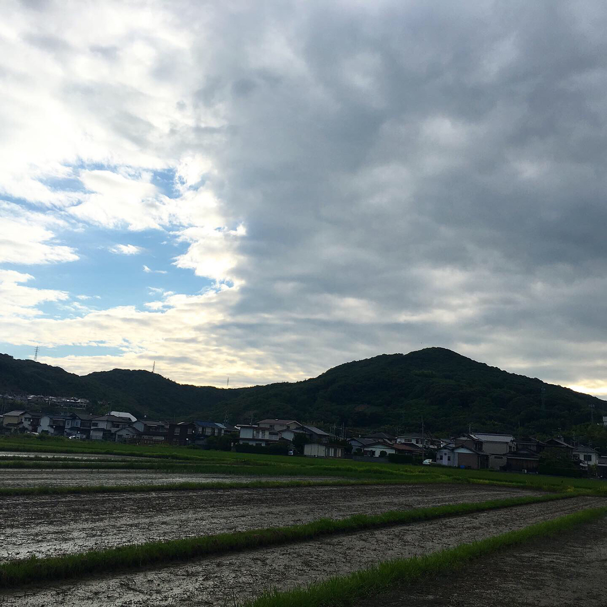 f:id:mix-juice:20190730094122j:plain f:id:mix-juice:20190730094122j:plain