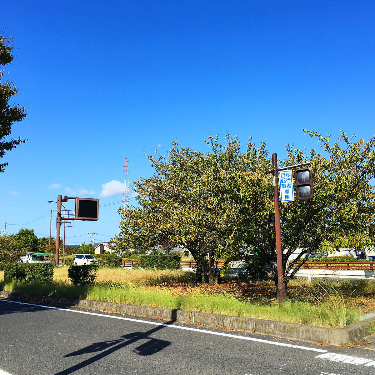 f:id:mix-juice:20190919110054j:plain f:id:mix-juice:20190919110054j:plain