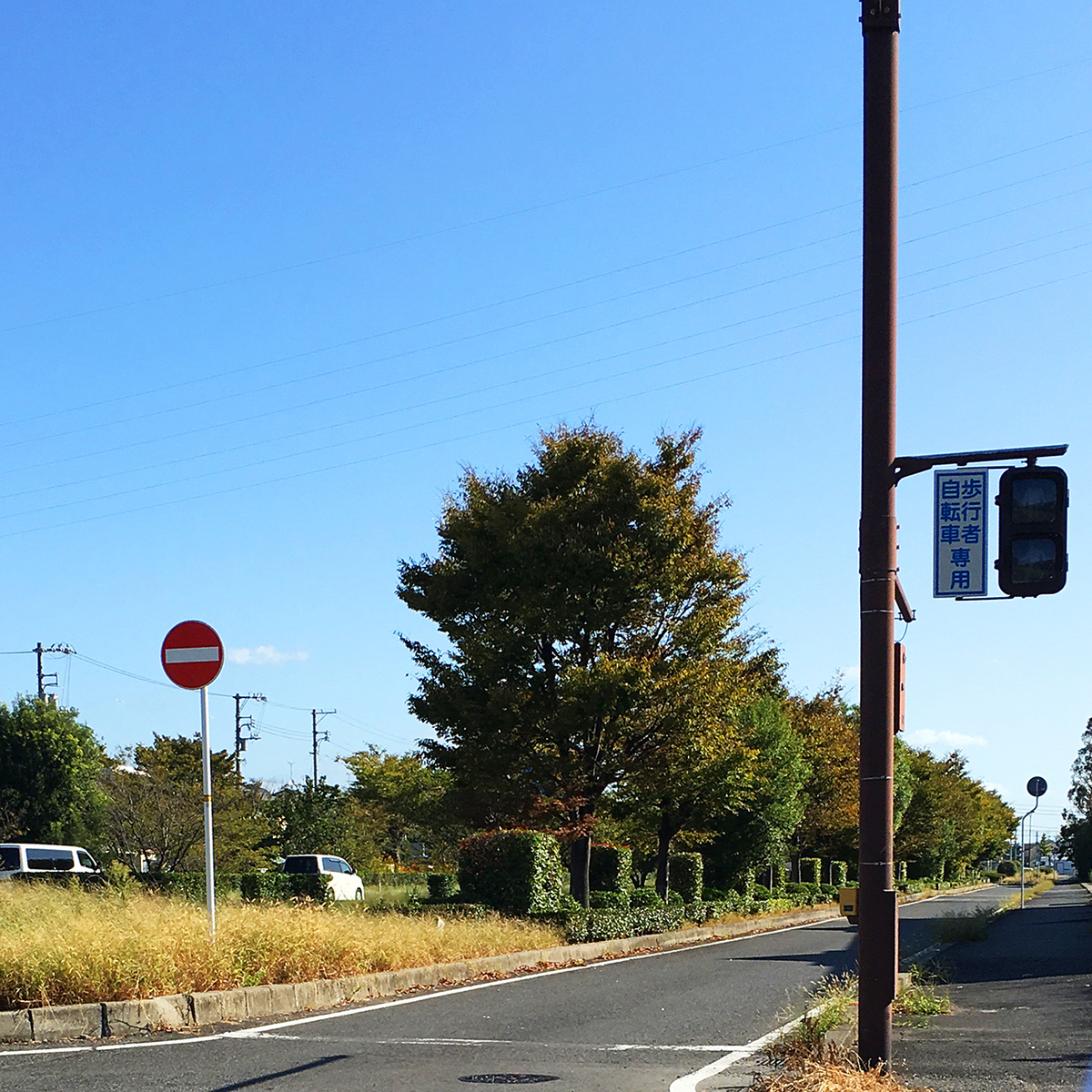 f:id:mix-juice:20190919110110j:plain f:id:mix-juice:20190919110110j:plain