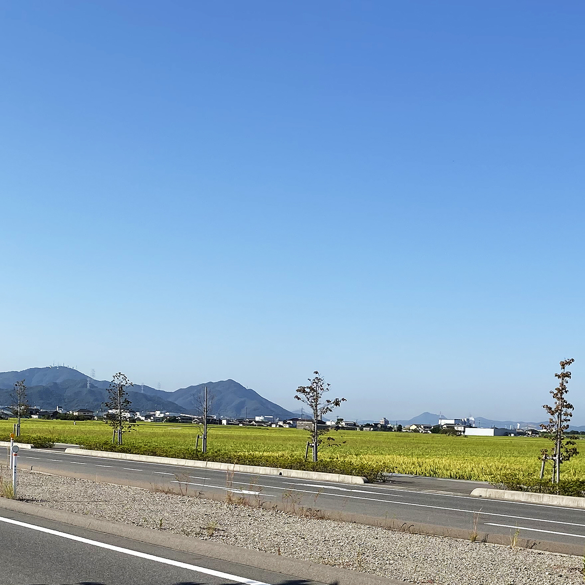 f:id:mix-juice:20190926114012j:plain f:id:mix-juice:20190926114012j:plain