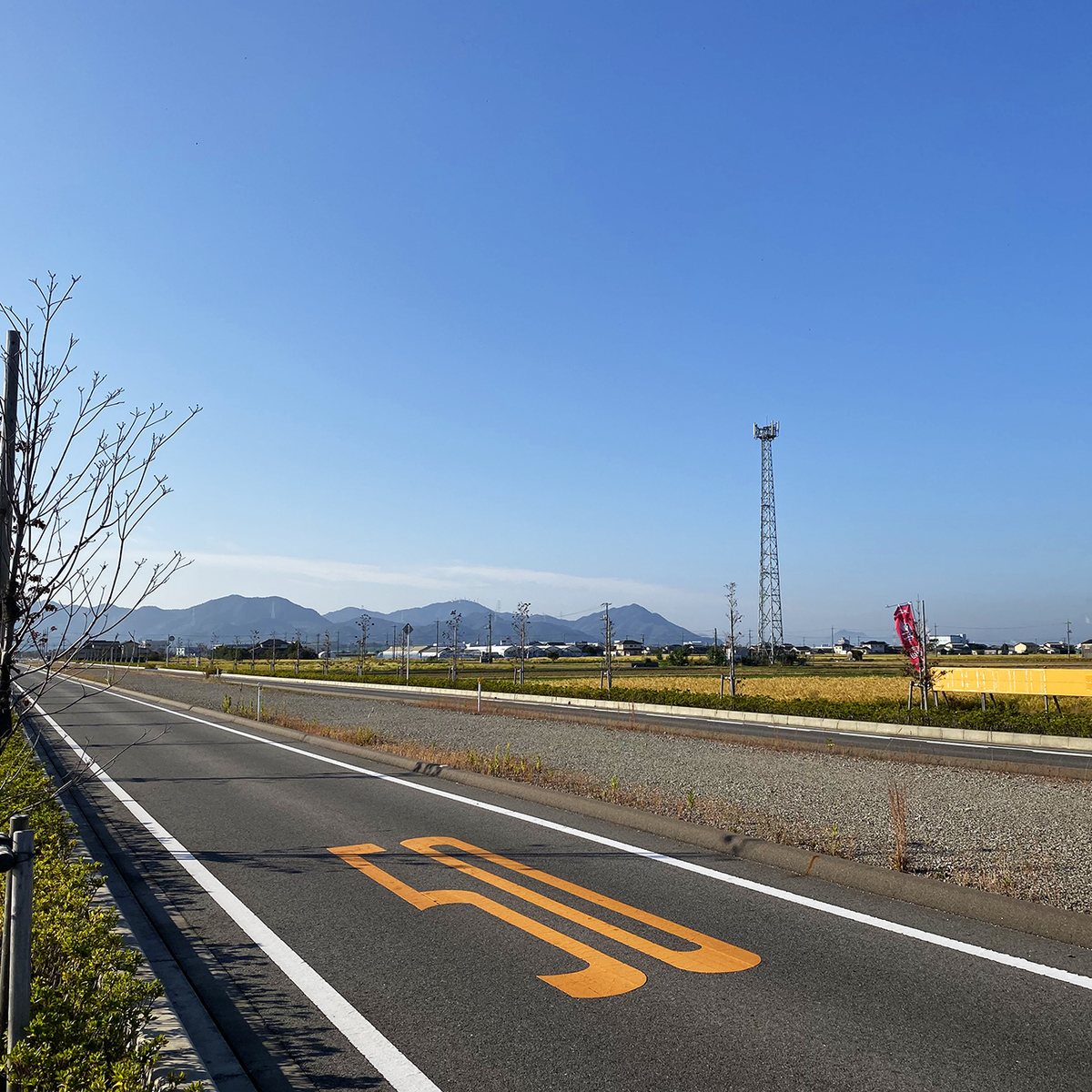 f:id:mix-juice:20191028103131j:plain f:id:mix-juice:20191028103131j:plain