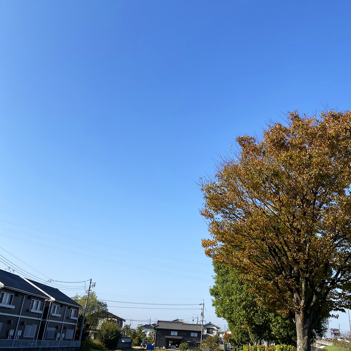 f:id:mix-juice:20191028103147j:plain f:id:mix-juice:20191028103147j:plain