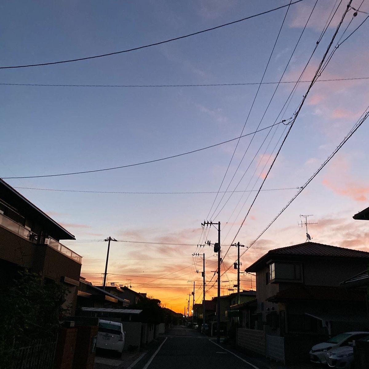 f:id:mix-juice:20191105111818j:plain f:id:mix-juice:20191105111818j:plain