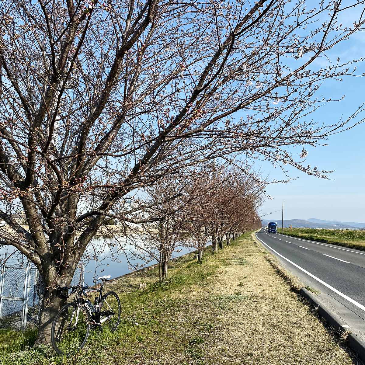 f:id:mix-juice:20200326121738j:plain f:id:mix-juice:20200326121738j:plain