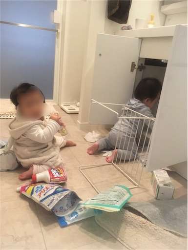 f:id:mix-twin:20180915211421j:image