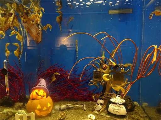 f:id:mix-twin:20181025062931j:image