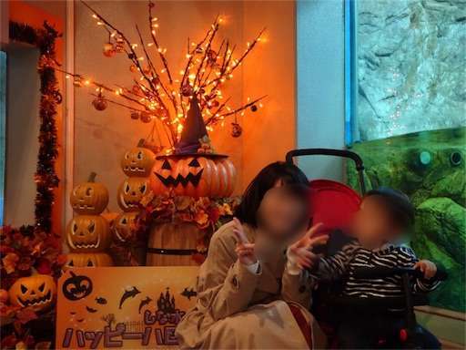 f:id:mix-twin:20181025062947j:image