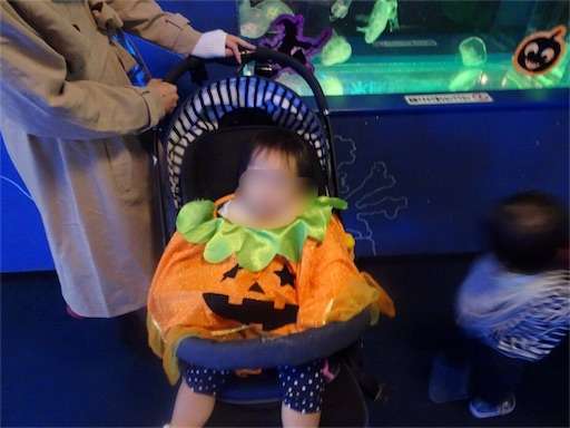 f:id:mix-twin:20181025062950j:image