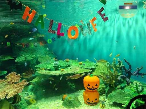 f:id:mix-twin:20181025062952j:image