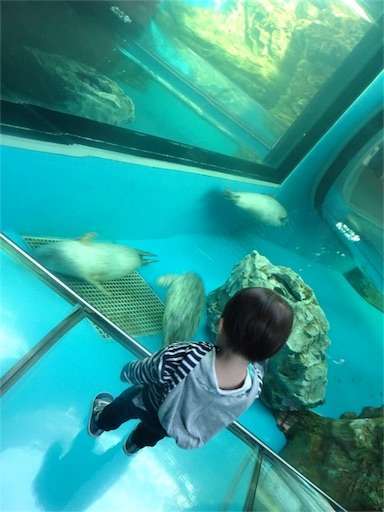 f:id:mix-twin:20181025063028j:image