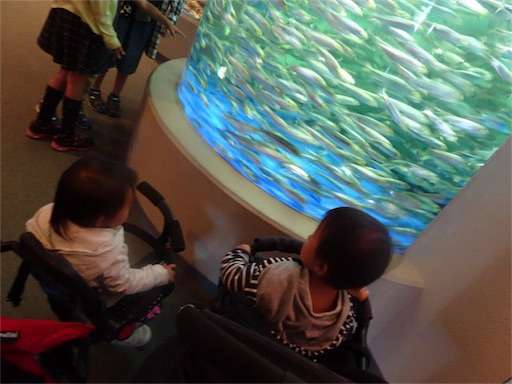 f:id:mix-twin:20181025063033j:image