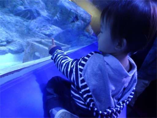 f:id:mix-twin:20181025063037j:image