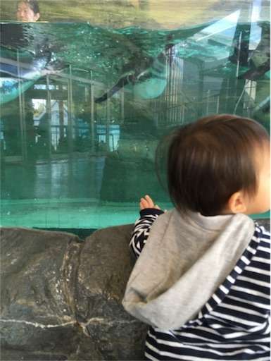 f:id:mix-twin:20181025063042j:image