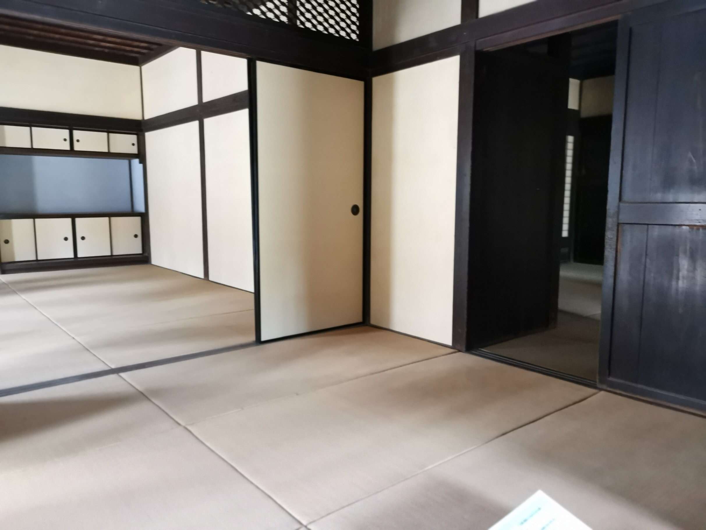 f:id:mix-twin:20190217213218j:plain f:id:mix-twin:20190217213218j:plain