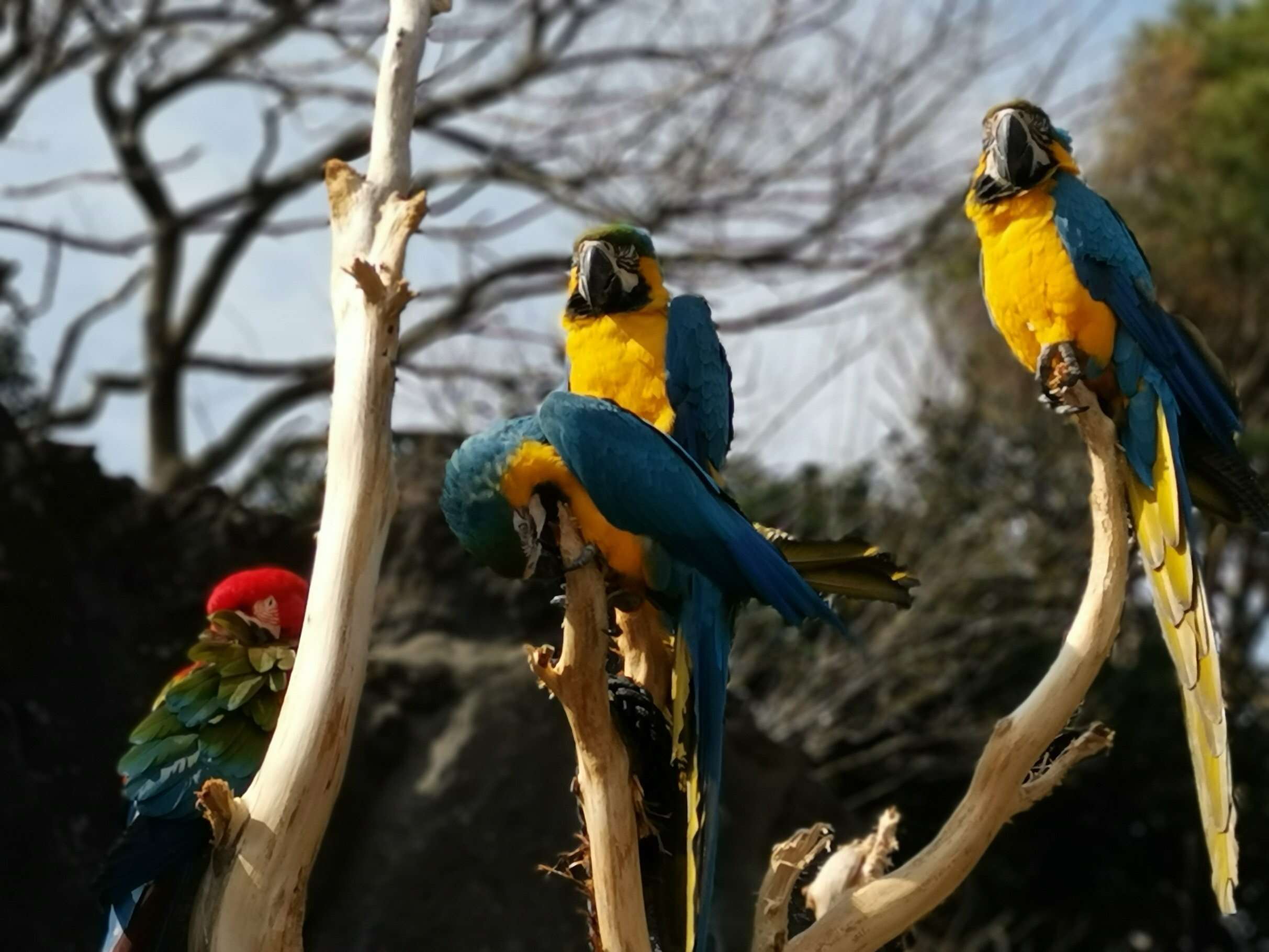 f:id:mix-twin:20190226205126j:image