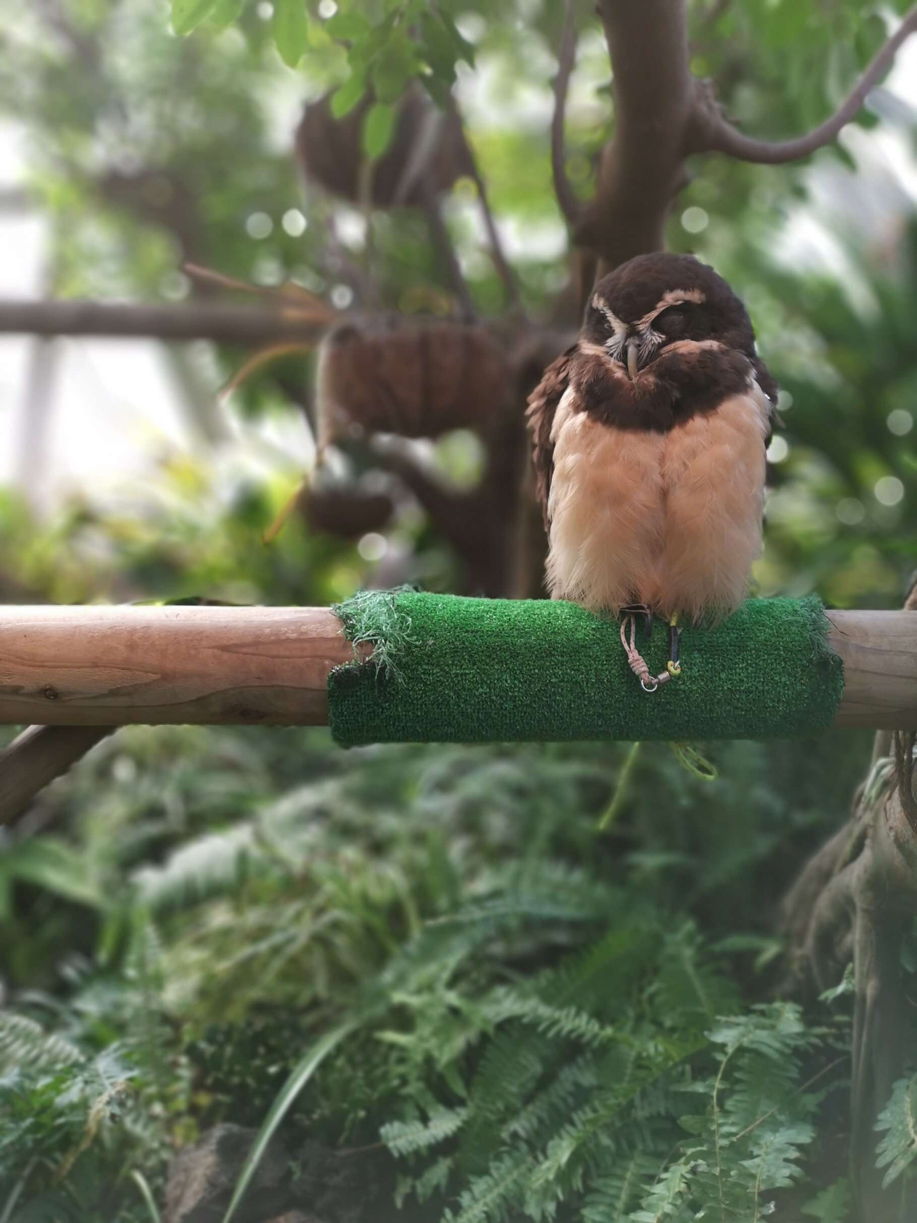 f:id:mix-twin:20190226205146j:image