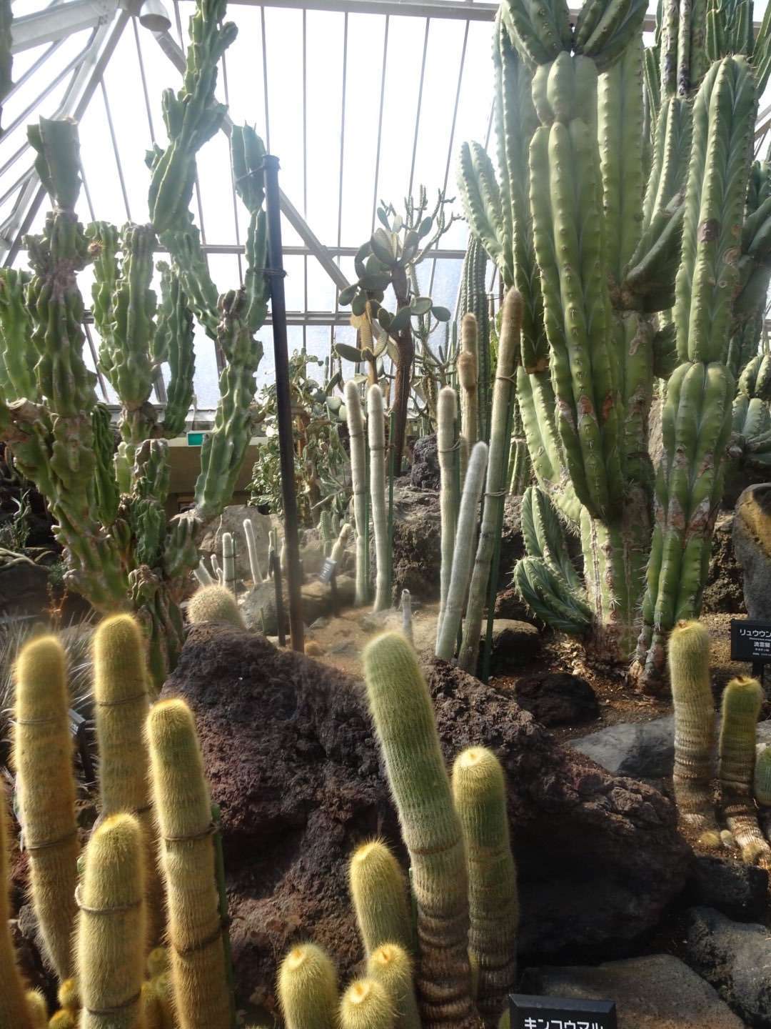 f:id:mix-twin:20190226205207j:image