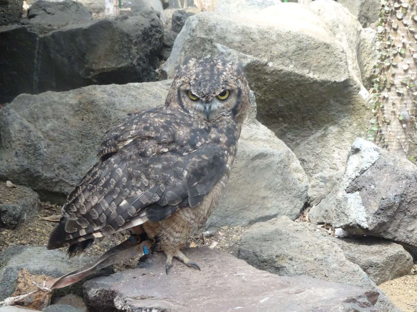 f:id:mix-twin:20190226205214j:image