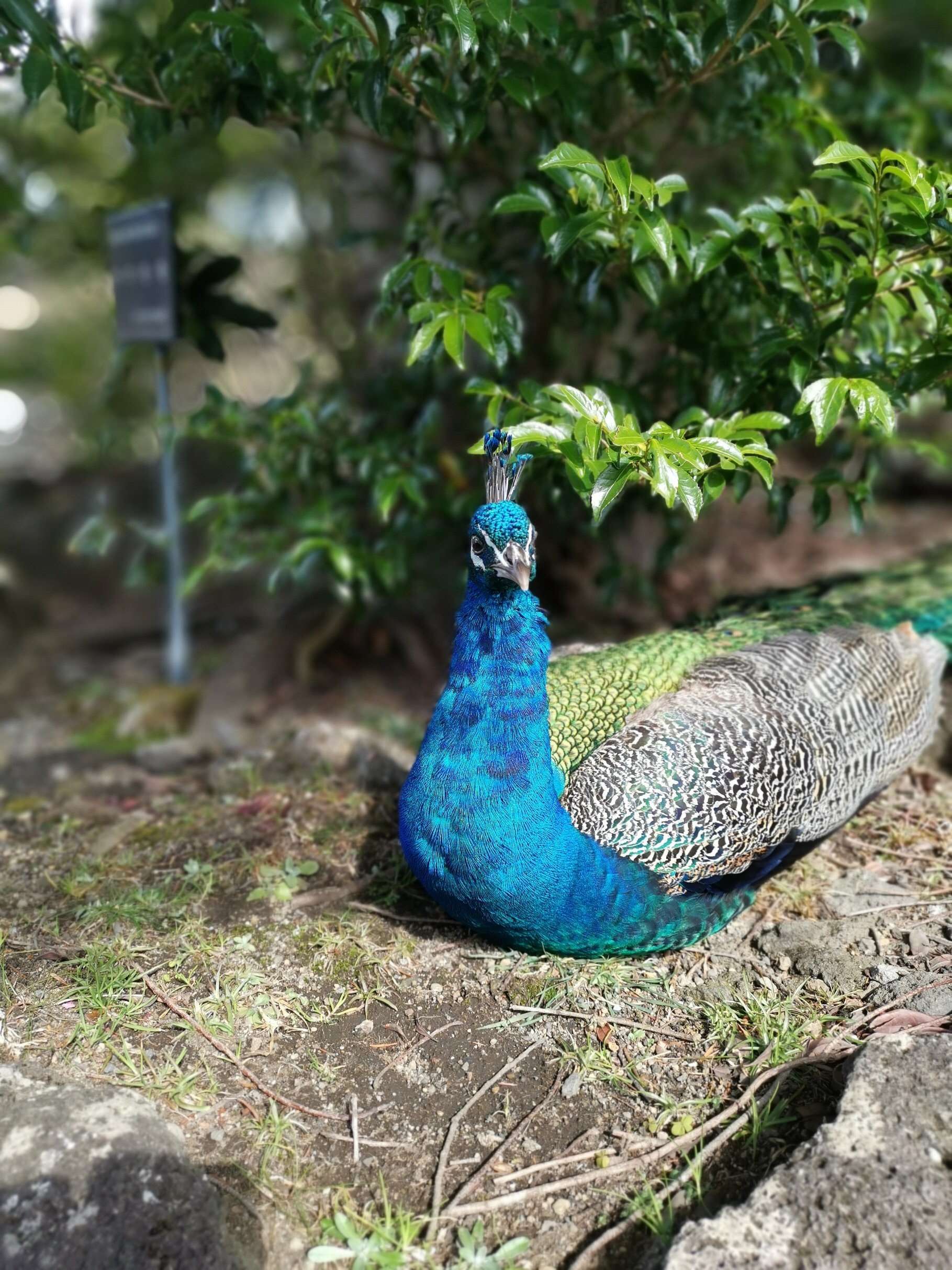 f:id:mix-twin:20190226205219j:image