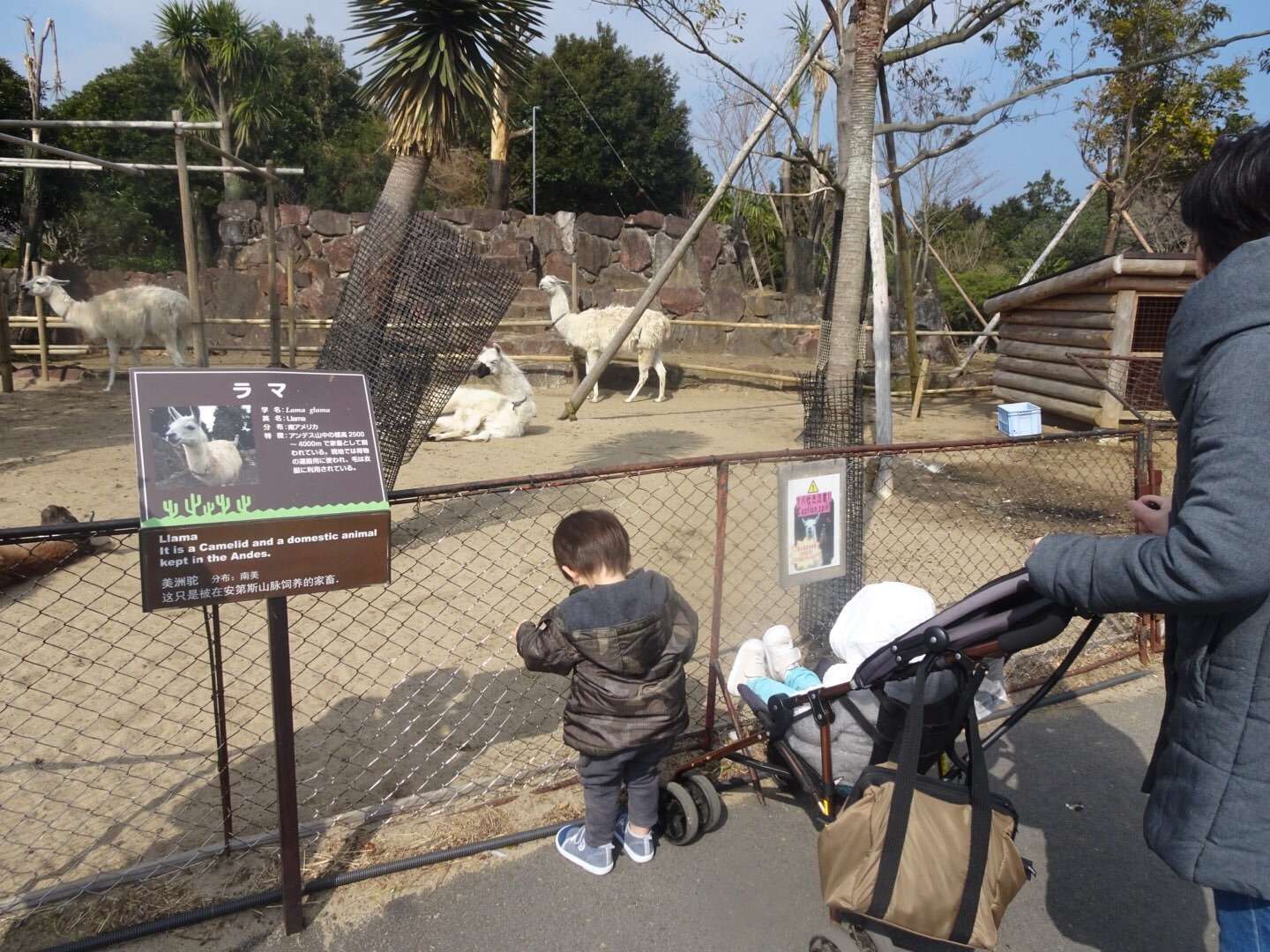 f:id:mix-twin:20190226205245j:image