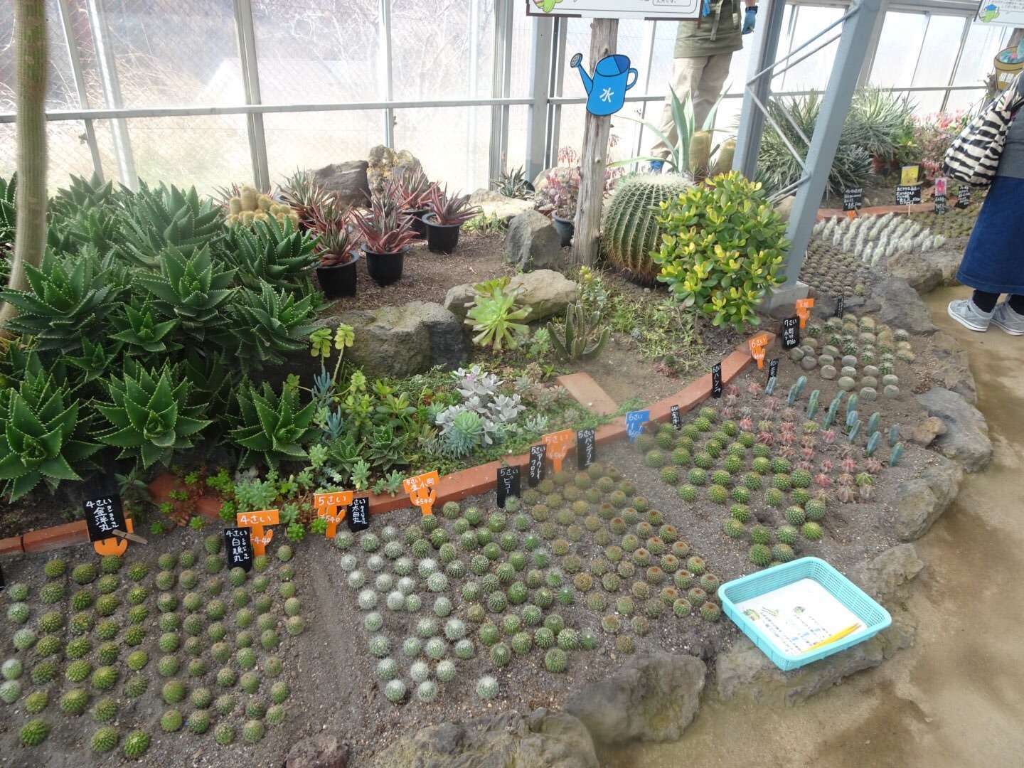 f:id:mix-twin:20190226205317j:plain