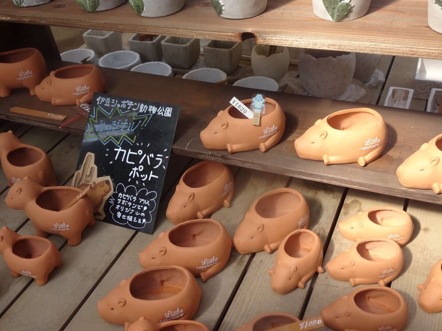 f:id:mix-twin:20190226205344j:plain