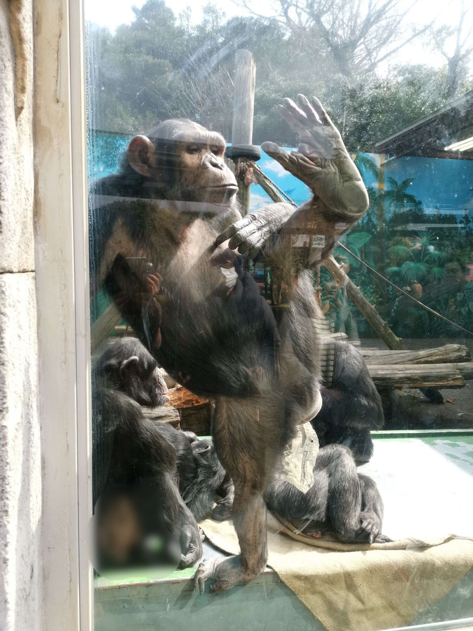 f:id:mix-twin:20190226224313j:image