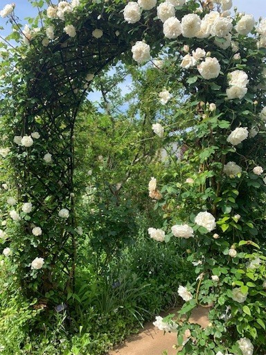 f:id:mix-twin:20190505223231j:plain f:id:mix-twin:20190505223231j:plain
