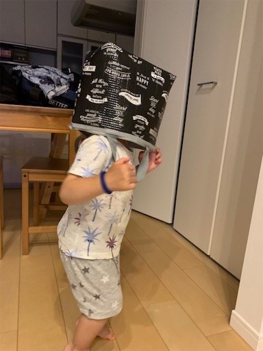 f:id:mix-twin:20190610110306j:plain f:id:mix-twin:20190610110306j:plain